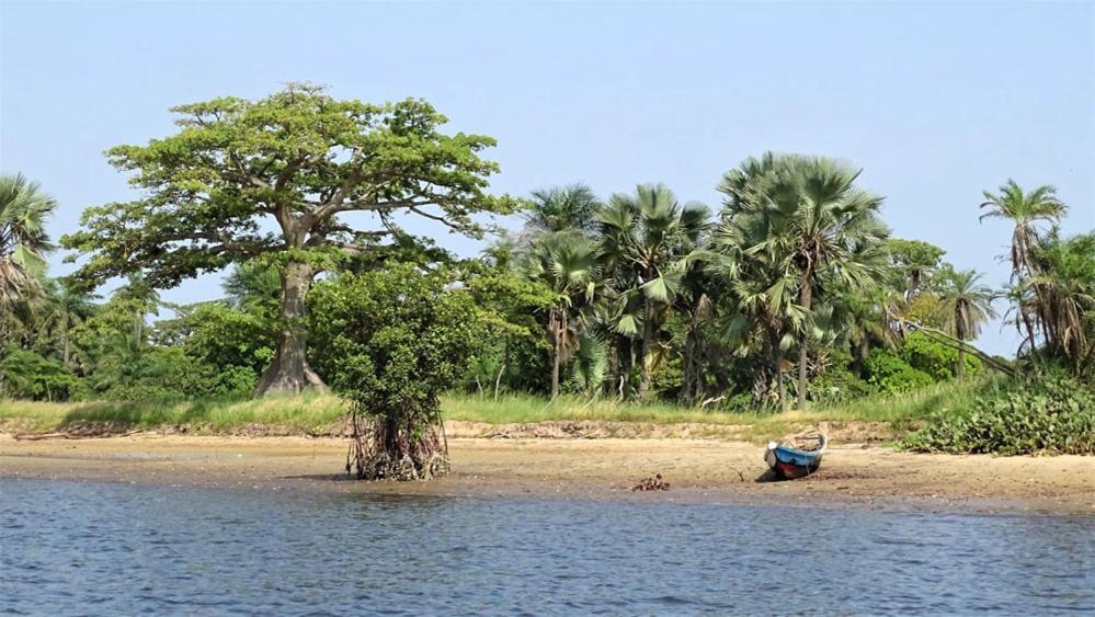 Eco-Lodge Hotel Oasis Fishing Saint-Louis Luaran gambar